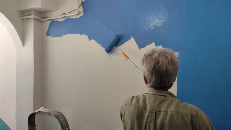 Best Fire-Damaged Drywall Repair  in Justice, IL